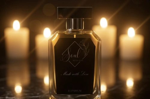 590793624_932065059980997_6961053555615635508_n